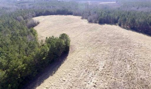 Photo of 65.92 Acres of Farmland and Recreational Land For Sale in Halifax County VA!