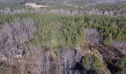 Photo of 65.92 Acres of Farmland and Recreational Land For Sale in Halifax County VA!