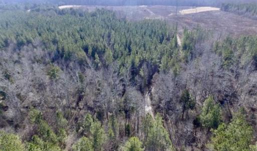 Photo of 65.92 Acres of Farmland and Recreational Land For Sale in Halifax County VA!