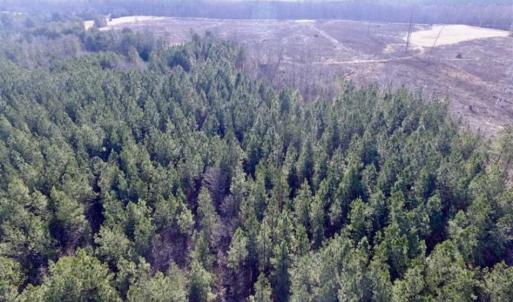 Photo of 65.92 Acres of Farmland and Recreational Land For Sale in Halifax County VA!