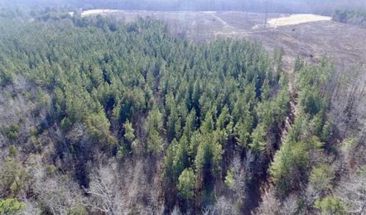 Photo of 65.92 Acres of Farmland and Recreational Land For Sale in Halifax County VA!