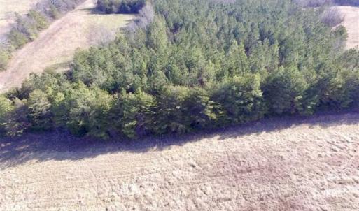 Photo of 65.92 Acres of Farmland and Recreational Land For Sale in Halifax County VA!
