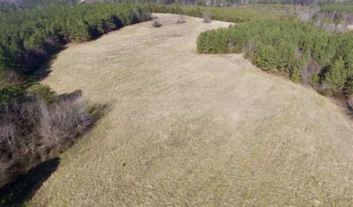 Photo of 65.92 Acres of Farmland and Recreational Land For Sale in Halifax County VA!