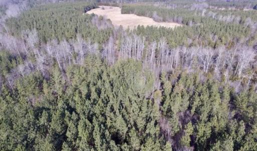 Photo of 65.92 Acres of Farmland and Recreational Land For Sale in Halifax County VA!