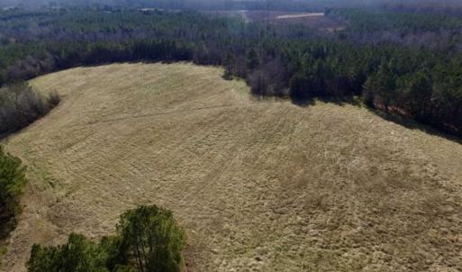 Photo of 65.92 Acres of Farmland and Recreational Land For Sale in Halifax County VA!