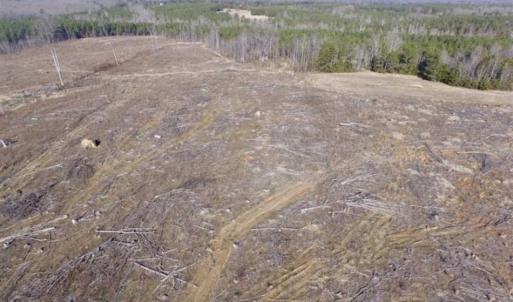 Photo of 65.92 Acres of Farmland and Recreational Land For Sale in Halifax County VA!