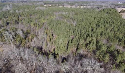 Photo of 65.92 Acres of Hunting and Recreational Land For Sale in Halifax County VA!