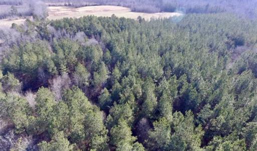 Photo of 65.92 Acres of Hunting and Recreational Land For Sale in Halifax County VA!