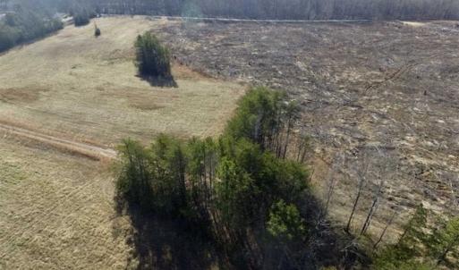 Photo of 65.92 Acres of Hunting and Recreational Land For Sale in Halifax County VA!