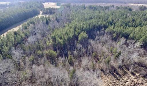 Photo of 65.92 Acres of Hunting and Recreational Land For Sale in Halifax County VA!