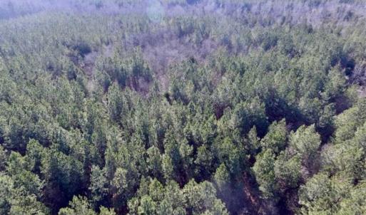 Photo of 65.92 Acres of Hunting and Recreational Land For Sale in Halifax County VA!