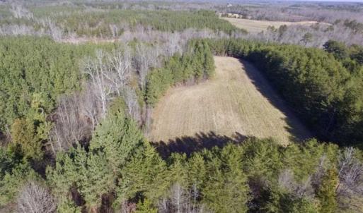 Photo of 65.92 Acres of Hunting and Recreational Land For Sale in Halifax County VA!