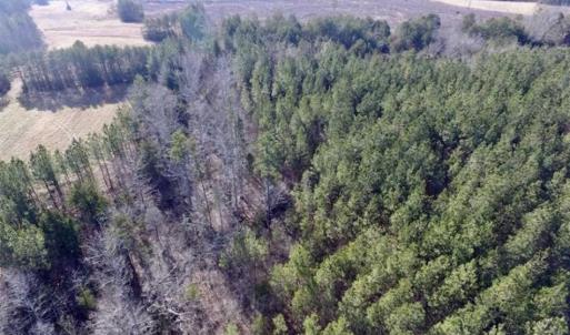Photo of 65.92 Acres of Hunting and Recreational Land For Sale in Halifax County VA!