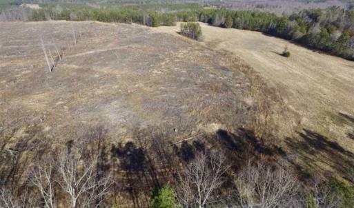 Photo of 65.92 Acres of Hunting and Recreational Land For Sale in Halifax County VA!