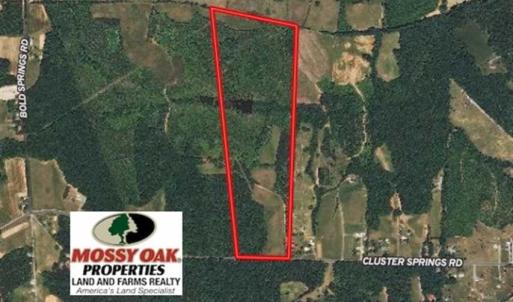 Photo of 65.92 Acres of Hunting and Recreational Land For Sale in Halifax County VA!