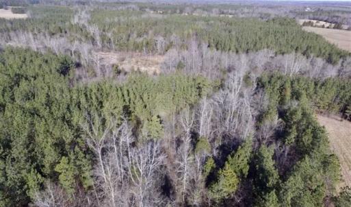 Photo of 65.92 Acres of Hunting and Recreational Land For Sale in Halifax County VA!