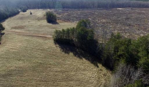 Photo of 65.92 Acres of Hunting and Recreational Land For Sale in Halifax County VA!
