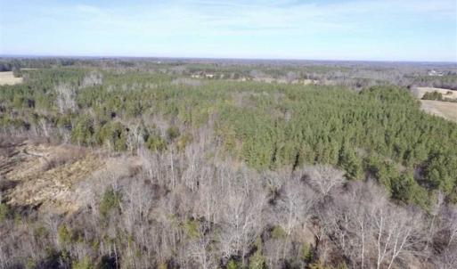 Photo of 65.92 Acres of Hunting and Recreational Land For Sale in Halifax County VA!