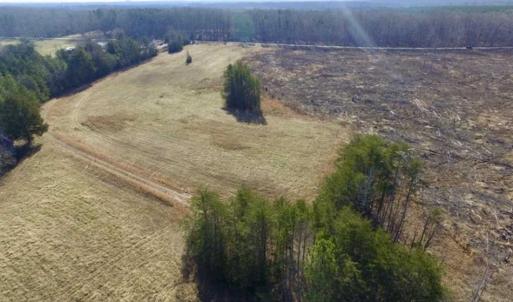 Photo of 65.92 Acres of Hunting and Recreational Land For Sale in Halifax County VA!