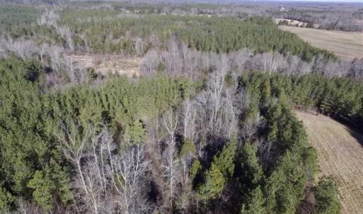 Photo of 65.92 Acres of Hunting and Recreational Land For Sale in Halifax County VA!