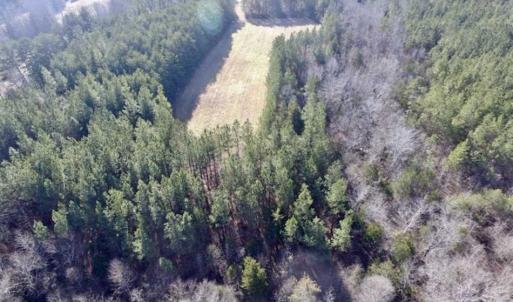 Photo of 65.92 Acres of Hunting and Recreational Land For Sale in Halifax County VA!