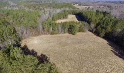 Photo of 65.92 Acres of Hunting and Recreational Land For Sale in Halifax County VA!