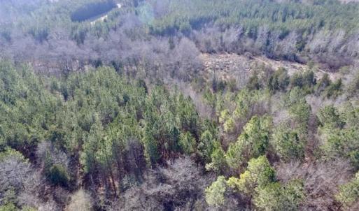 Photo of 65.92 Acres of Hunting and Recreational Land For Sale in Halifax County VA!