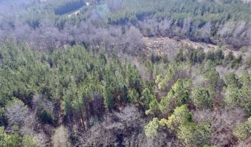 Photo of 65.92 Acres of Hunting and Recreational Land For Sale in Halifax County VA!