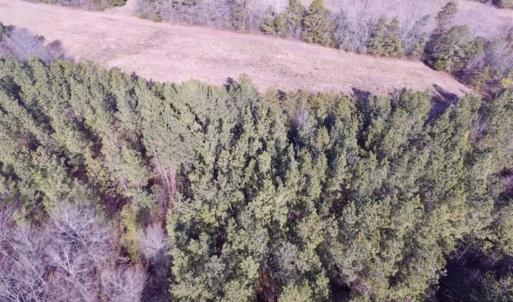 Photo of 65.92 Acres of Hunting and Recreational Land For Sale in Halifax County VA!