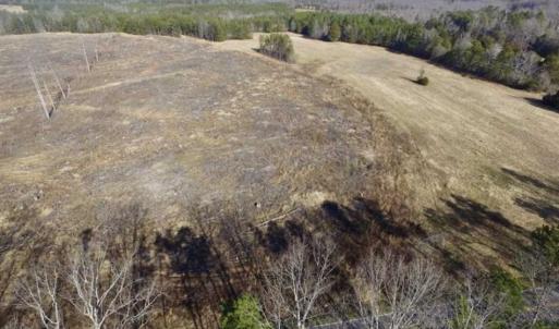 Photo of 65.92 Acres of Hunting and Recreational Land For Sale in Halifax County VA!