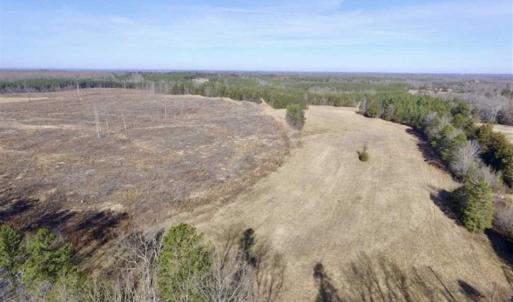 Photo of 65.92 Acres of Hunting and Recreational Land For Sale in Halifax County VA!