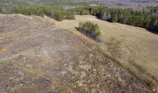 Photo of 65.92 Acres of Hunting and Recreational Land For Sale in Halifax County VA!