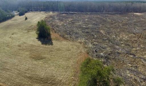 Photo of 65.92 Acres of Hunting and Recreational Land For Sale in Halifax County VA!