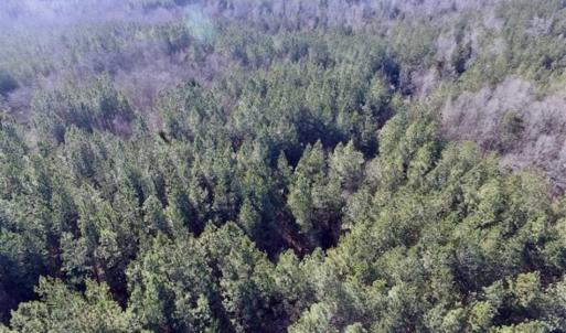 Photo of 65.92 Acres of Hunting and Recreational Land For Sale in Halifax County VA!