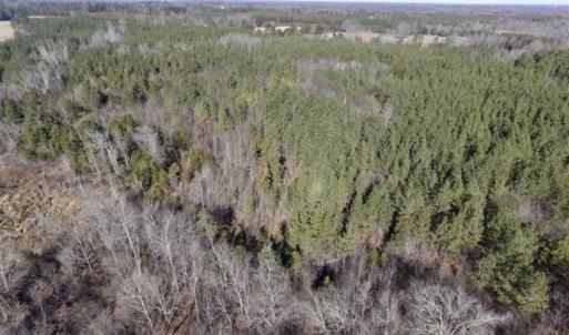 Photo of 65.92 Acres of Hunting and Recreational Land For Sale in Halifax County VA!