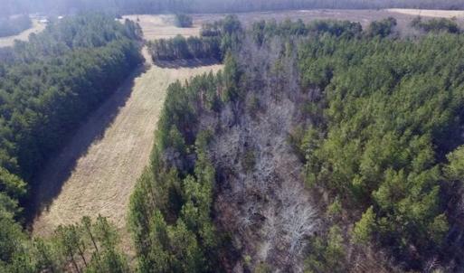 Photo of 65.92 Acres of Hunting and Recreational Land For Sale in Halifax County VA!
