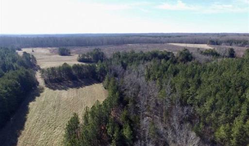 Photo of 65.92 Acres of Hunting and Recreational Land For Sale in Halifax County VA!