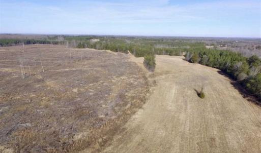 Photo of 65.92 Acres of Hunting and Recreational Land For Sale in Halifax County VA!