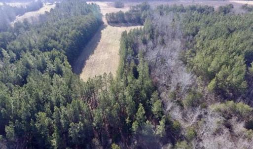 Photo of 65.92 Acres of Hunting and Recreational Land For Sale in Halifax County VA!