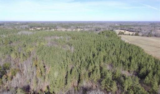 Photo of 65.92 Acres of Hunting and Recreational Land For Sale in Halifax County VA!