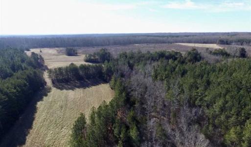 Photo of 65.92 Acres of Hunting and Recreational Land For Sale in Halifax County VA!