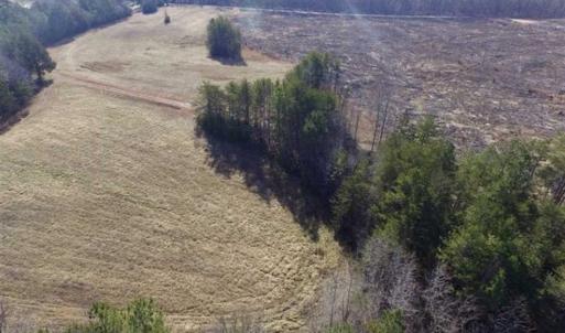 Photo of 65.92 Acres of Hunting and Recreational Land For Sale in Halifax County VA!