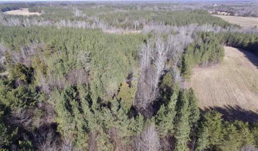 Photo of 65.92 Acres of Hunting and Recreational Land For Sale in Halifax County VA!