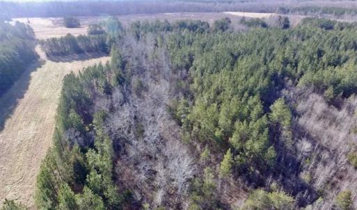 Photo of 65.92 Acres of Hunting and Recreational Land For Sale in Halifax County VA!