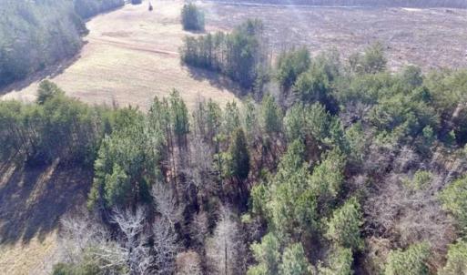 Photo of 65.92 Acres of Hunting and Recreational Land For Sale in Halifax County VA!