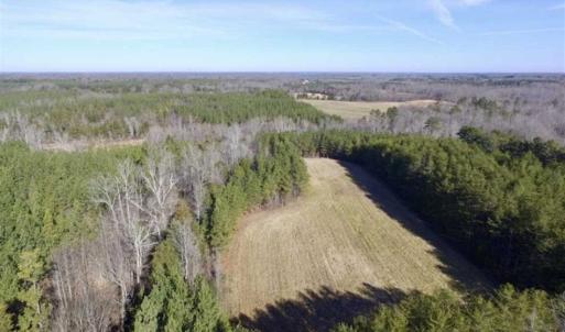 Photo of 65.92 Acres of Hunting and Recreational Land For Sale in Halifax County VA!