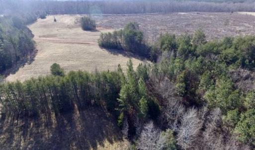 Photo of 65.92 Acres of Hunting and Recreational Land For Sale in Halifax County VA!