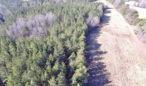 Photo of 65.92 Acres of Hunting and Recreational Land For Sale in Halifax County VA!