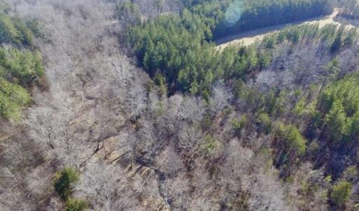 Photo of 65.92 Acres of Hunting and Recreational Land For Sale in Halifax County VA!
