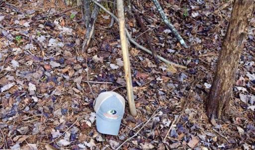 Photo of 15.96 Acres of Residential Hunting Land For Sale In Bedford County VA!